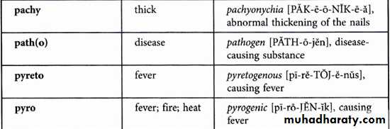 Medical terminology lecture 1