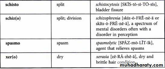 Medical terminology lecture 1