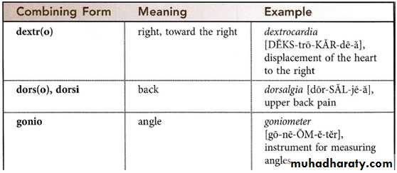 Medical terminology lecture 1