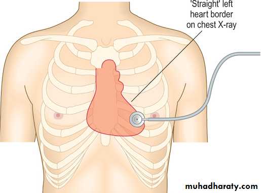 Medical terminology lecture 1
