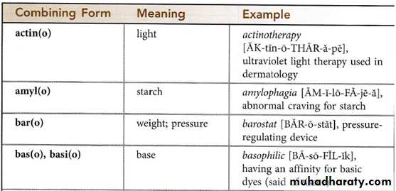 Medical terminology lecture 1