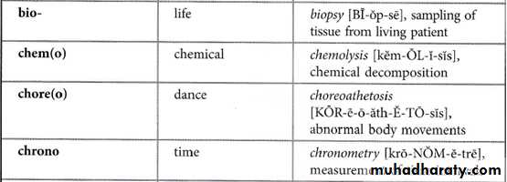 Medical terminology lecture 1