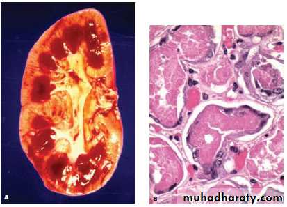 Medical terminology lecture 1