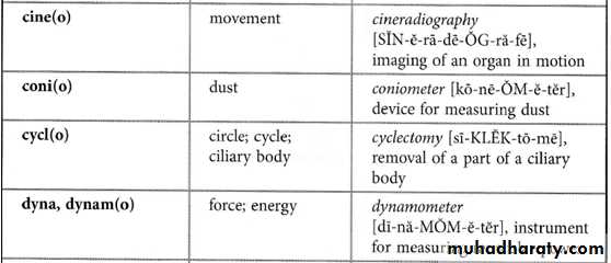 Medical terminology lecture 1