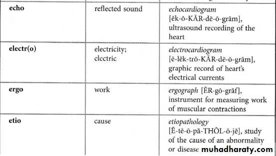 Medical terminology lecture 1