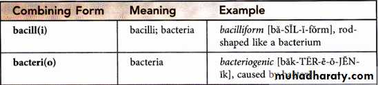 Medical terminology lecture 1