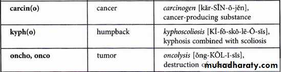 Medical terminology lecture 1