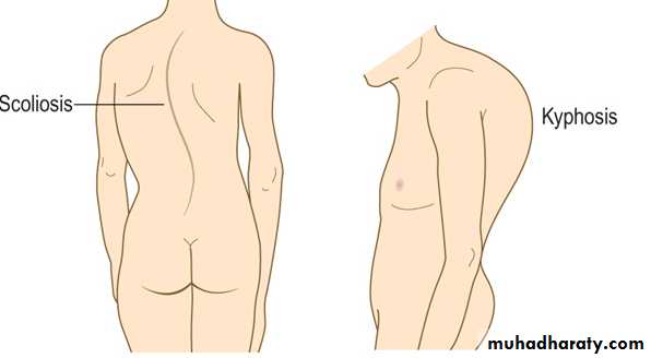 Medical terminology lecture 1