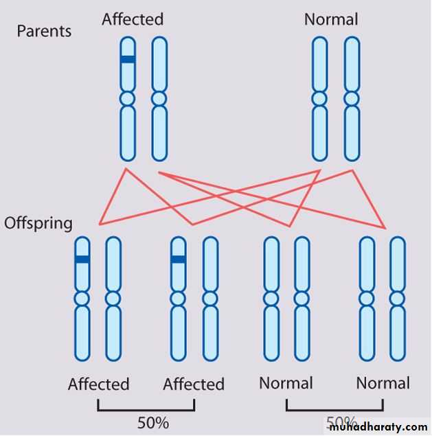 Genetics