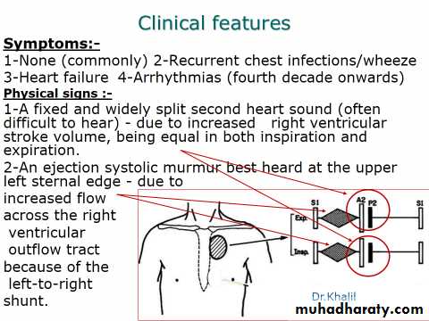 The cardiovascular system