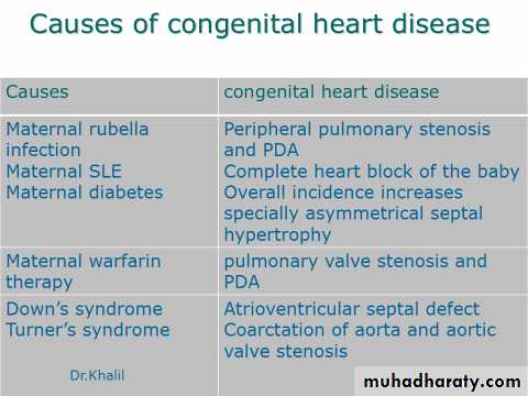 The cardiovascular system