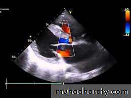 The cardiovascular system