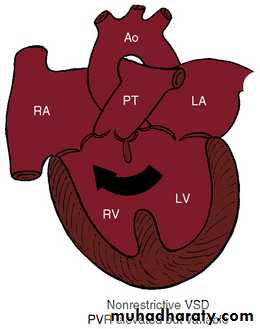 The cardiovascular system
