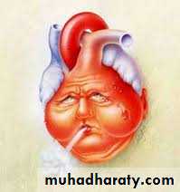 The cardiovascular system
