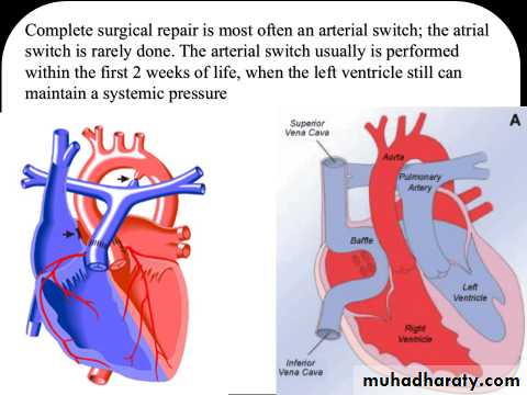 The cardiovascular system