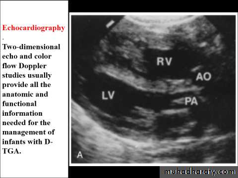 The cardiovascular system