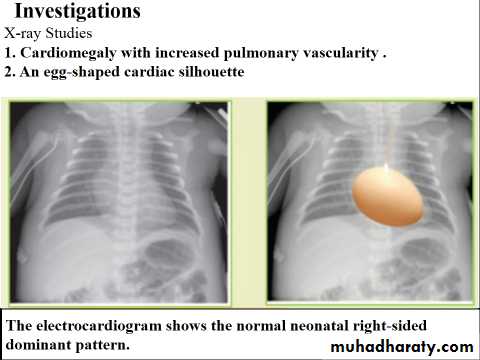 The cardiovascular system