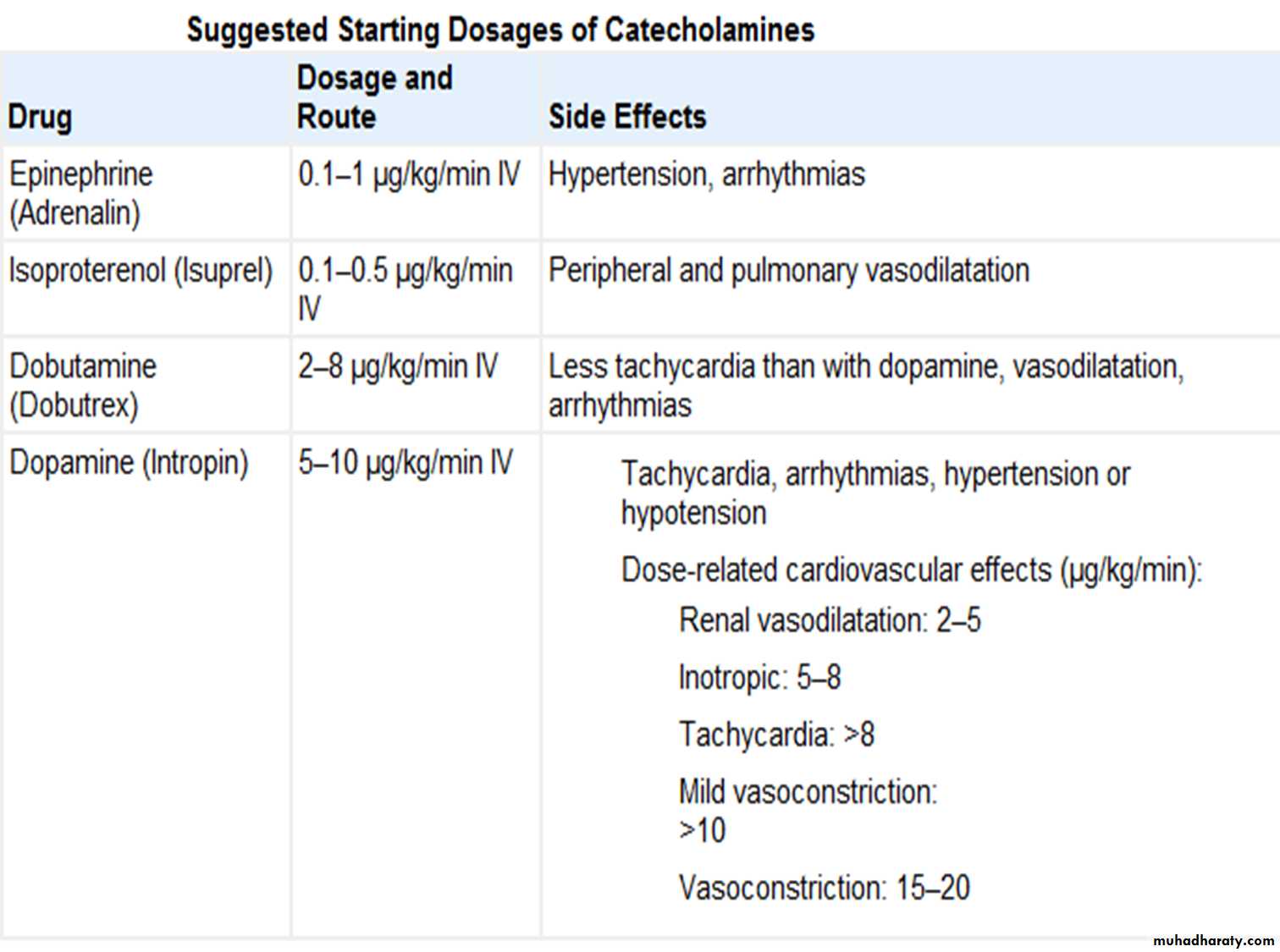 The cardiovascular system