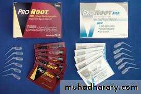 Pulp protection