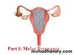 History and examination in Gynecology