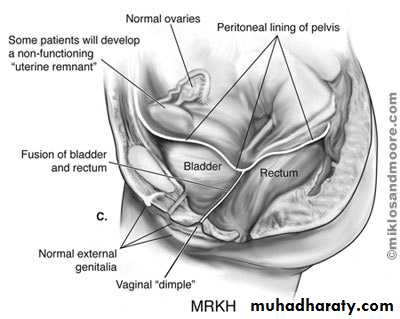 History and examination in Gynecology