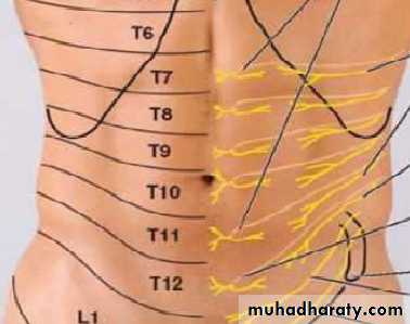 History and examination in Gynecology