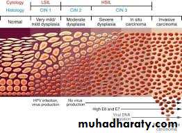 History and examination in Gynecology