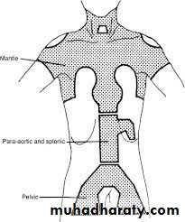 History and examination in Gynecology