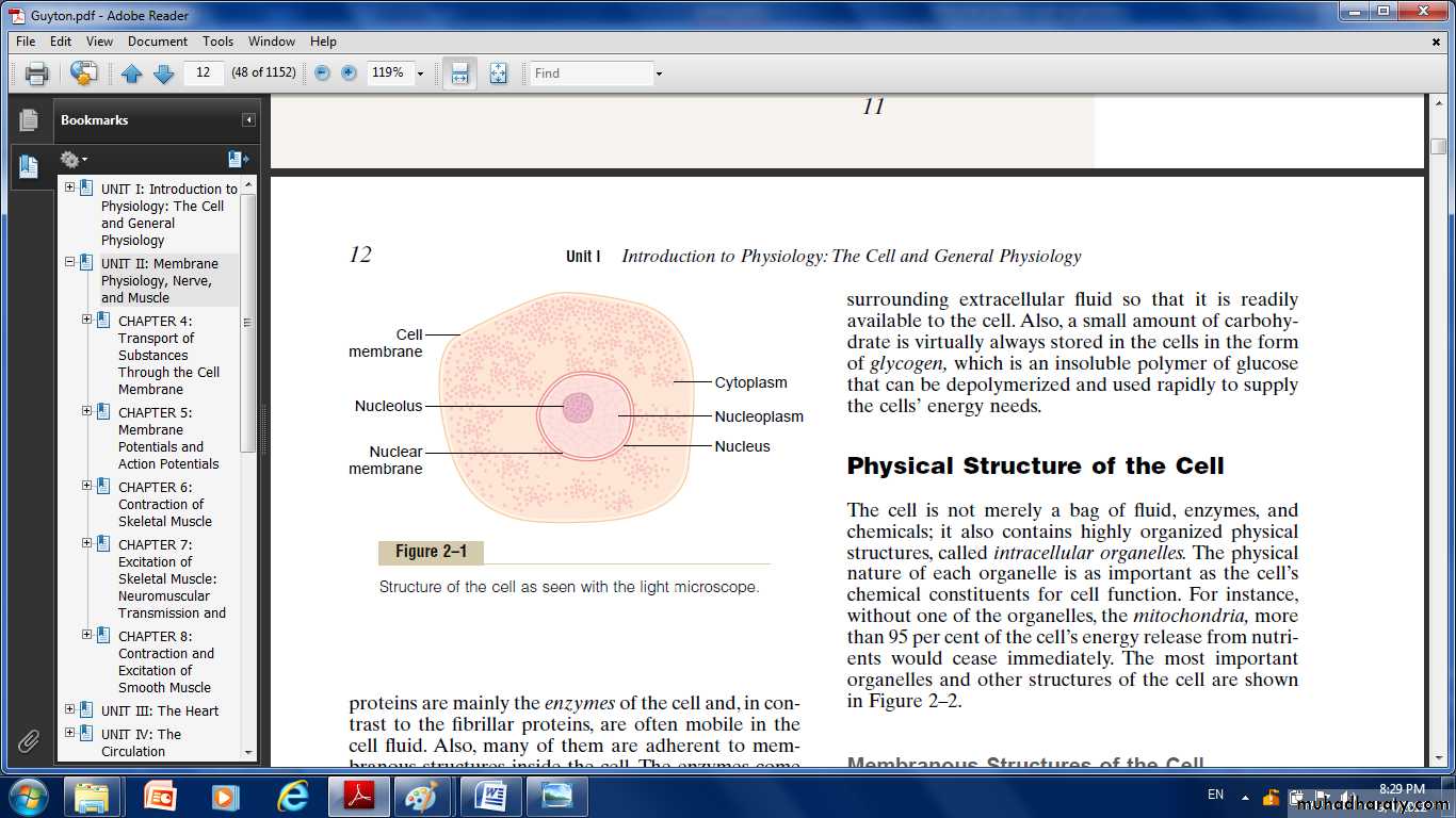Cell physiology