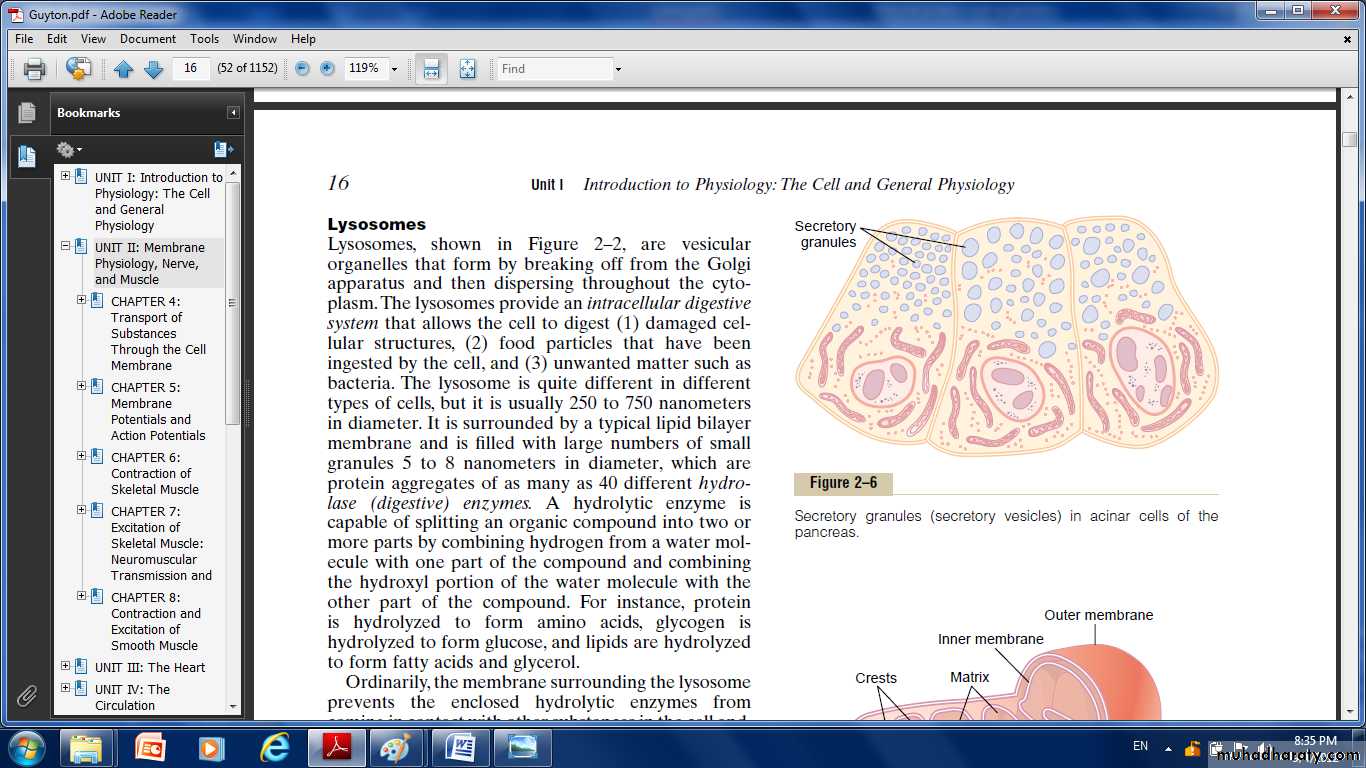 Cell physiology