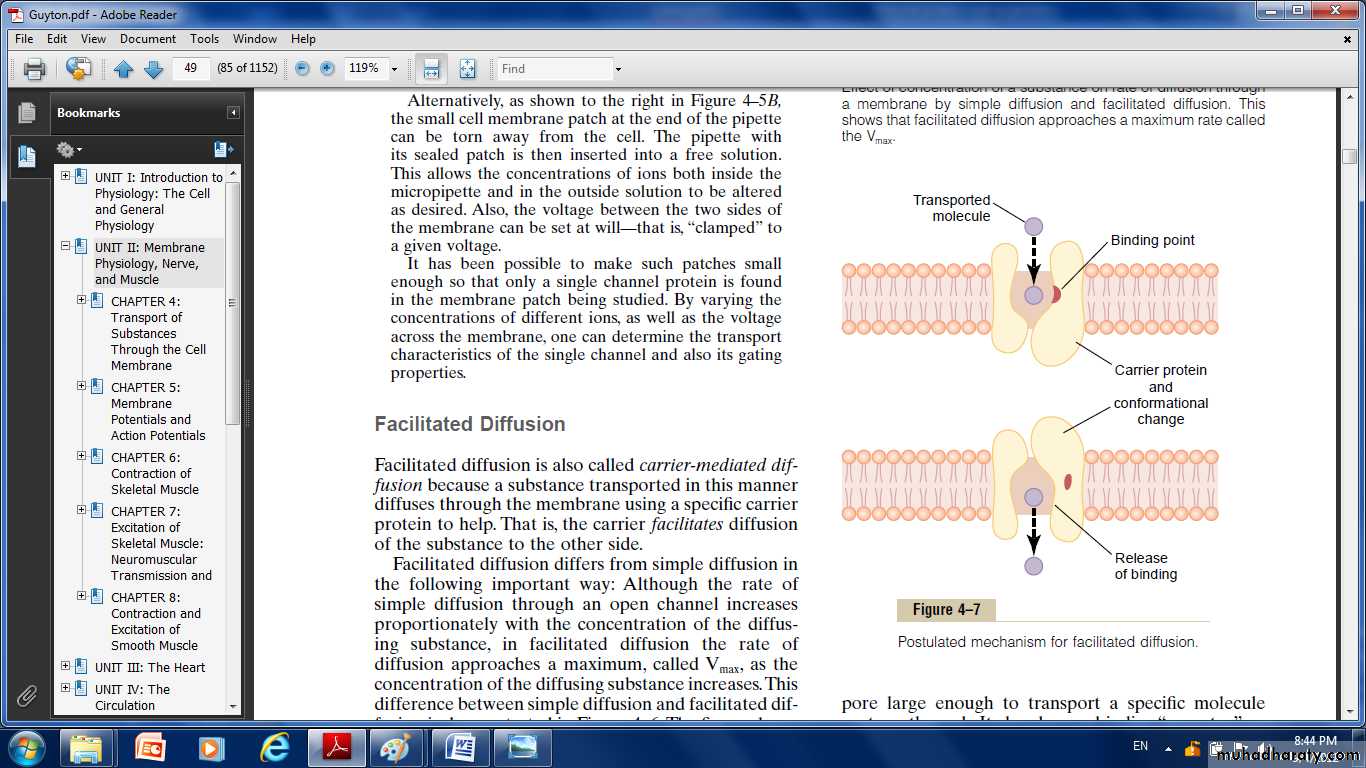 Cell physiology