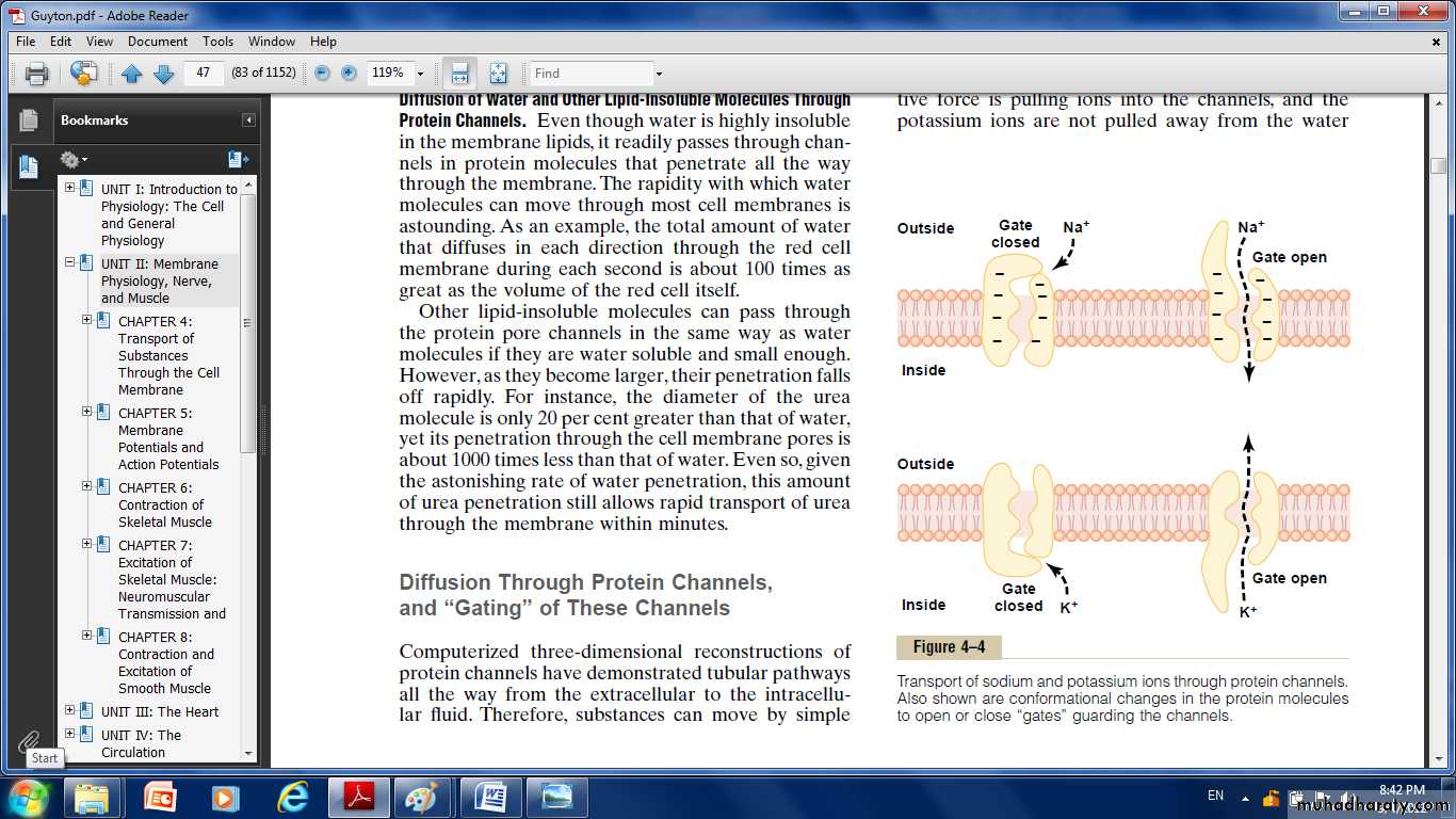Cell physiology