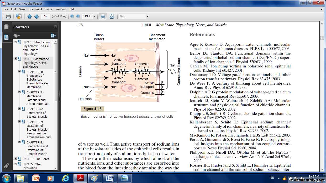 Cell physiology