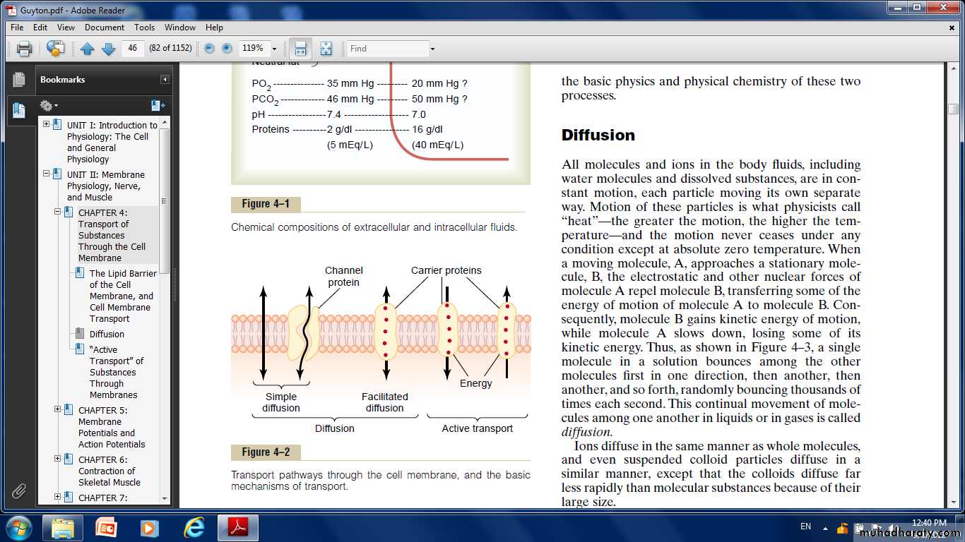Cell physiology