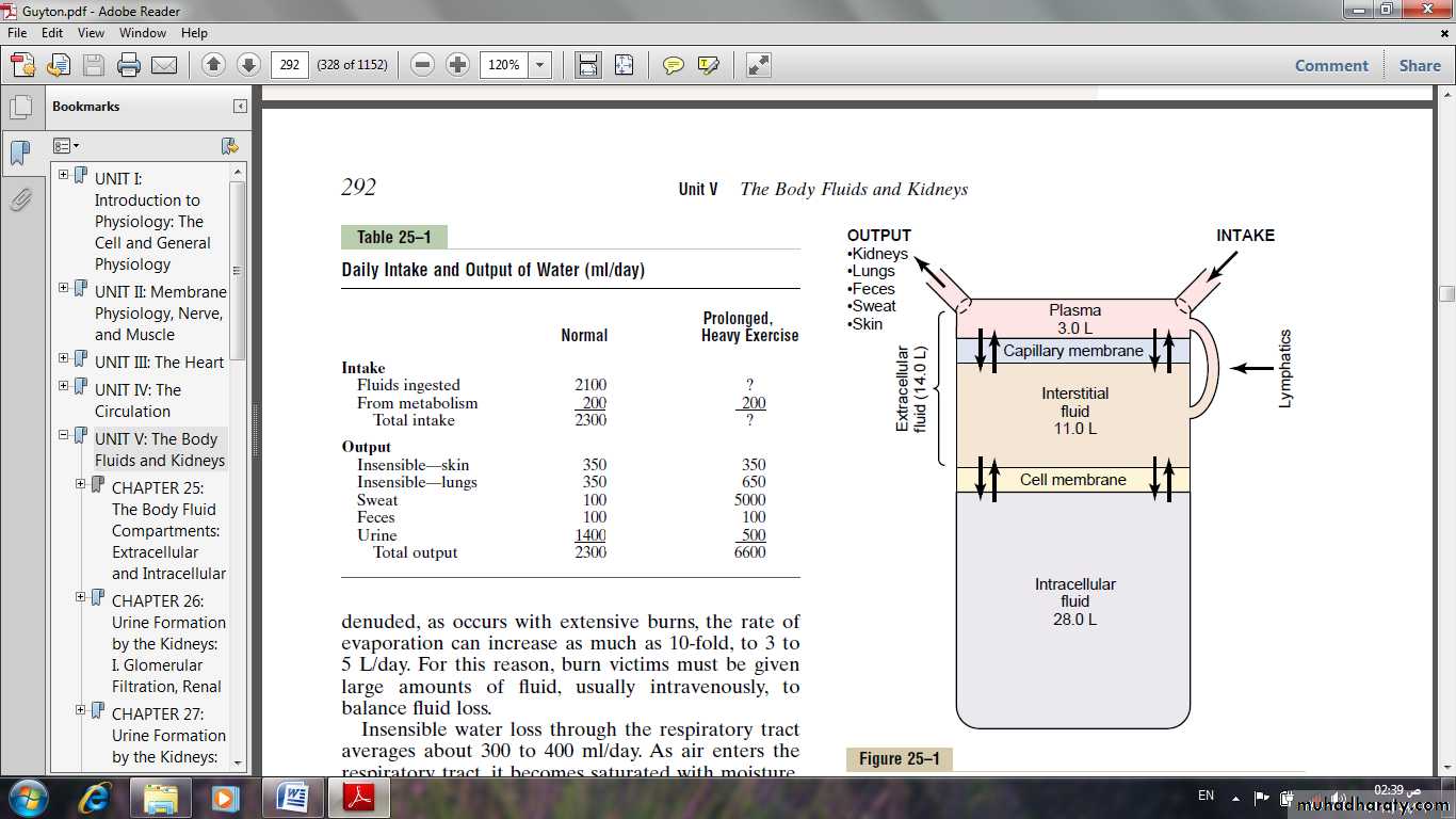 The body fluid compartment