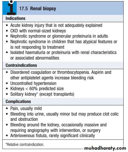 Kidney