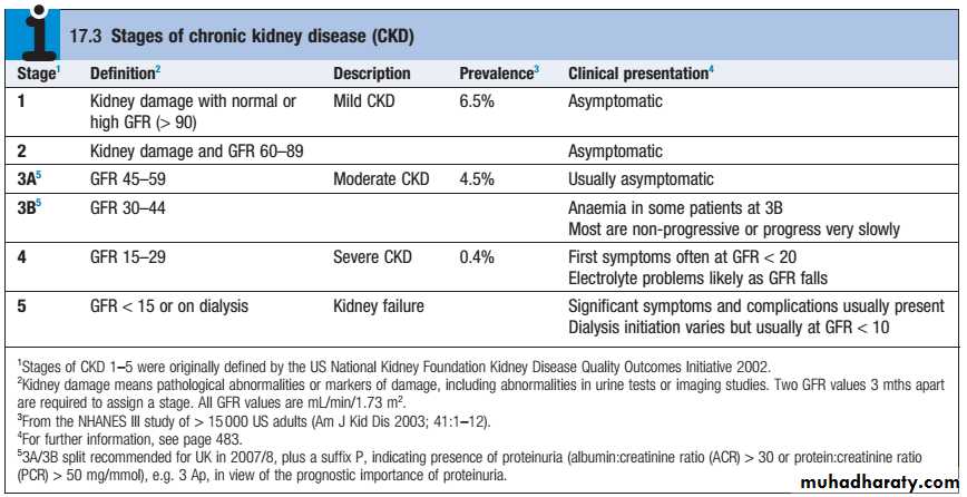 Kidney