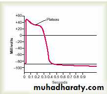 Action potential