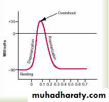 Action potential
