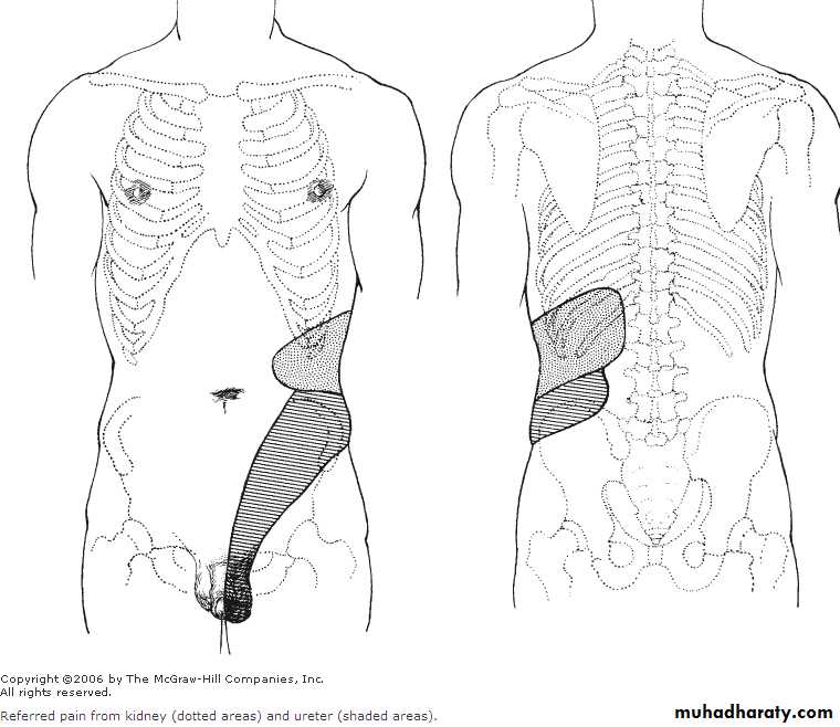 Urology