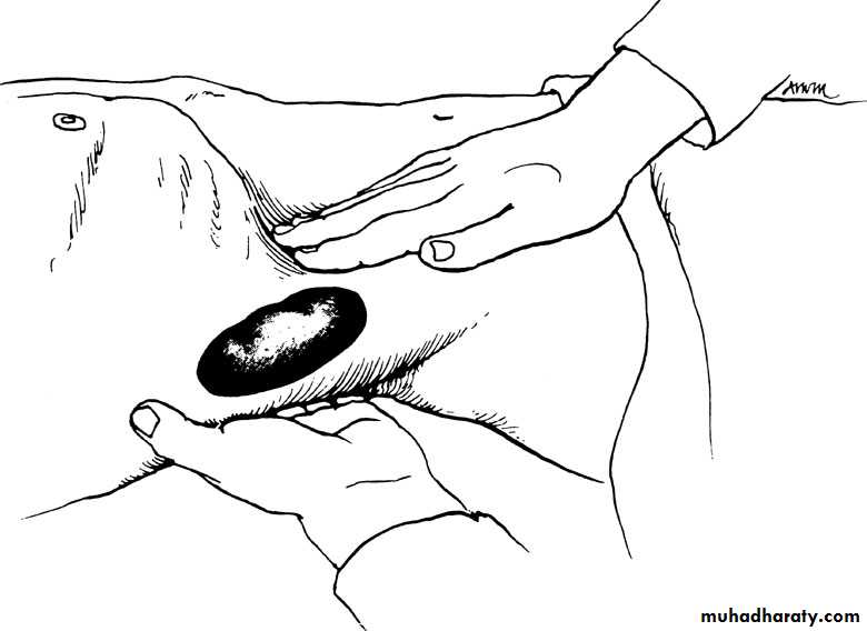 Urology