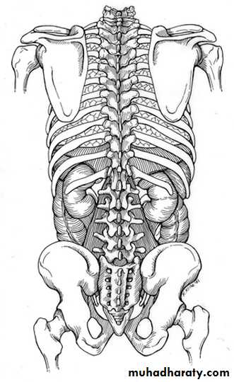 Urology