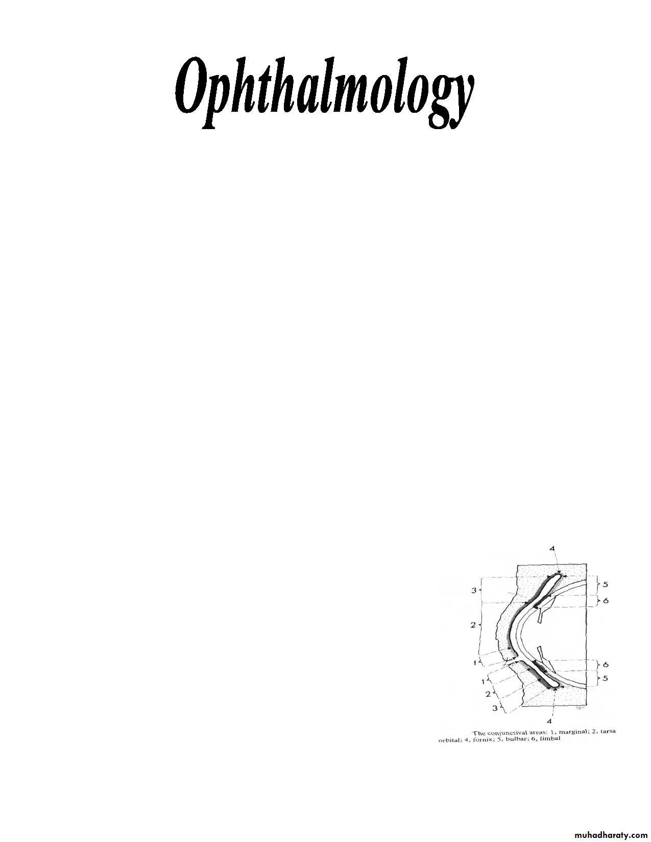 Disorders of the conjunctiva