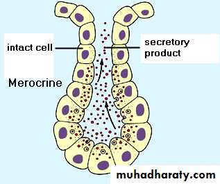 Glands عملي
