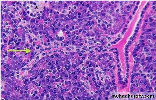 Glands عملي