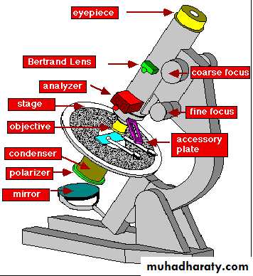 Glands عملي