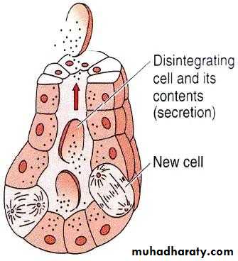 Glands عملي