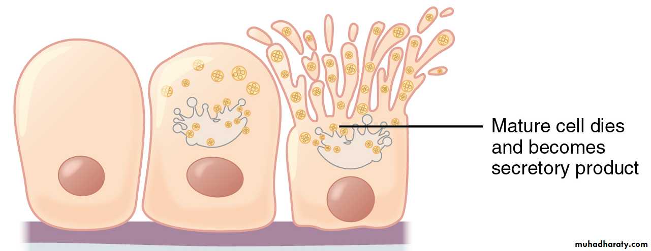 Glands عملي