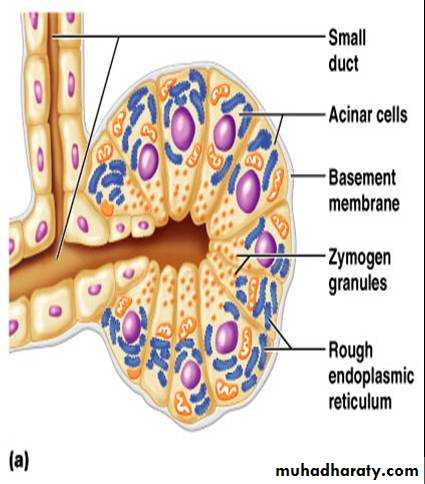 Glands