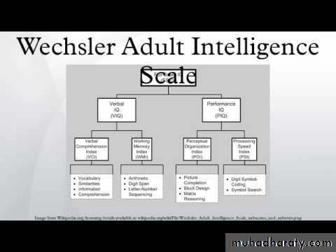 Intelligence